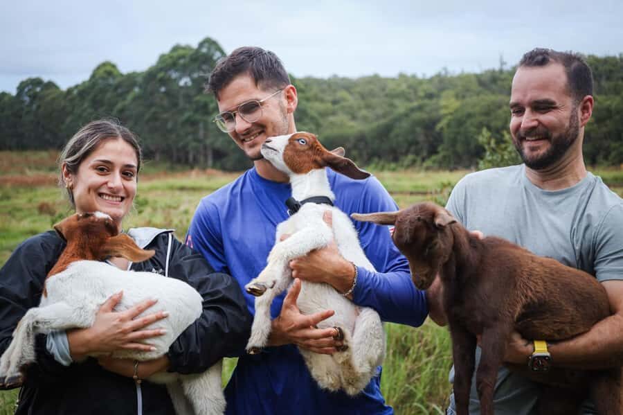 Big Island: Hand Feed & Cuddle Baby Goats - The Itinerary and What You Can Expect