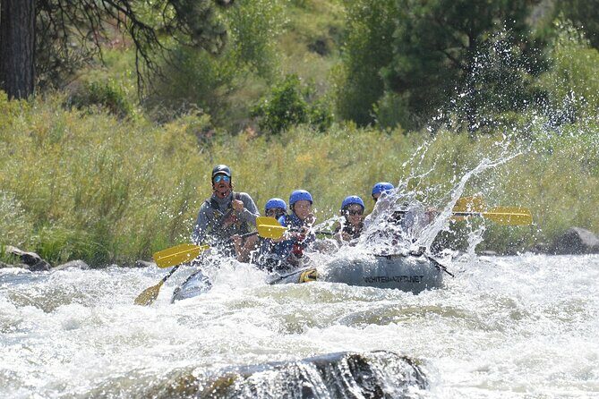 Bighorn Sheep Canyon Full Day Beginner Whitewater Rafting Tour - Why This Tour Fits Well Into Your Colorado Trip