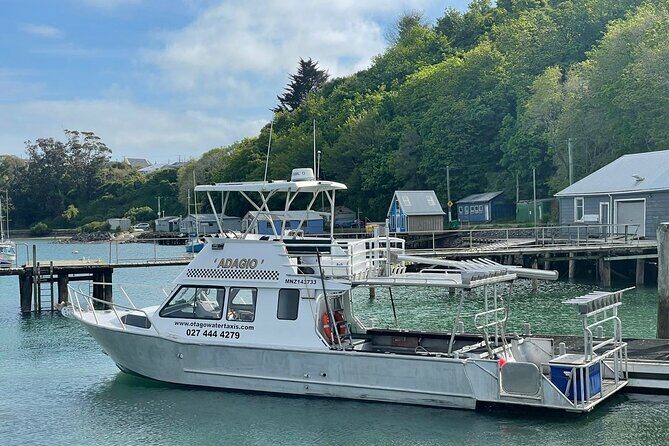 Bike Ferry Port Chalmers to Quarantine Island and Portobello, - Final Thoughts: Is It Worth It?