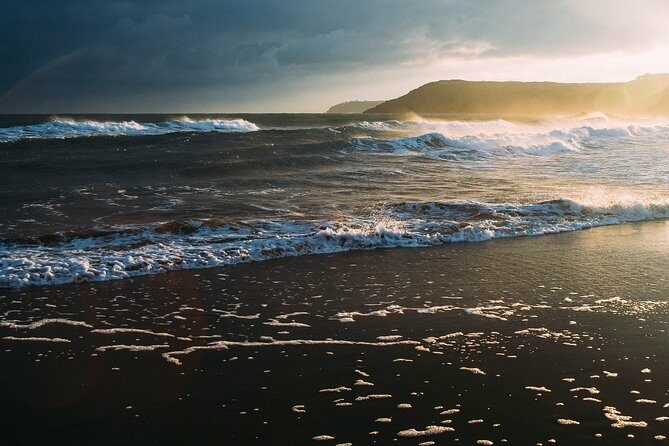 Bioluminescence from Puerto Escondido - Price and Value Considerations
