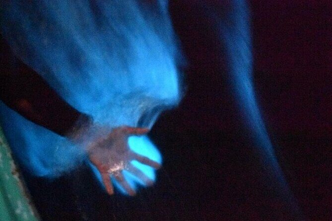 Bioluminescence in Manialtepec Night Tour from Huatulco - The Experience from the Traveler’s Perspective