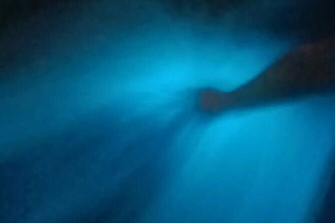 Bioluminiscense Lagoon Tour - Who Is This Tour Best Suited For?