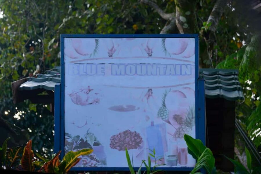 Blue Mountain Tour: A Half-Day Escape from Kingston - What Makes This Tour Stand Out