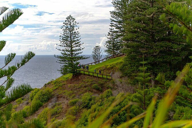 Breakfast Bushwalk in Norfolk Island - The Practicalities: What You Need to Know