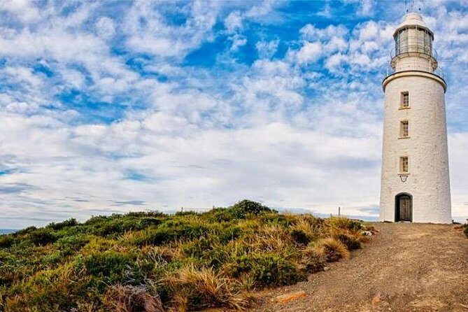 Bruny Island Day Tour Private Charter Service 3 days in advance - Final Thoughts