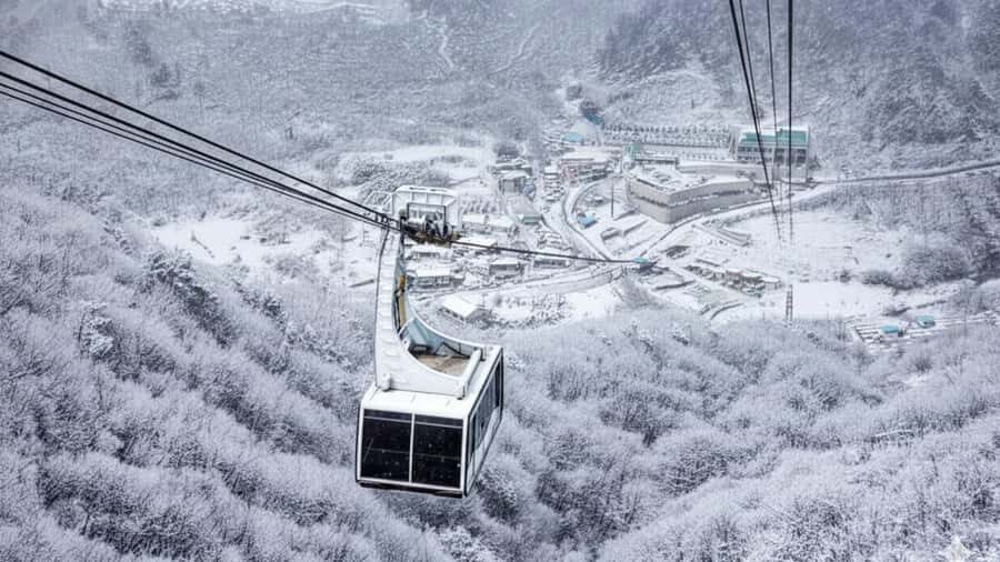 Busan: Discovery Tour With Snow & UNESCO Spot - Why This Tour Offers Great Value