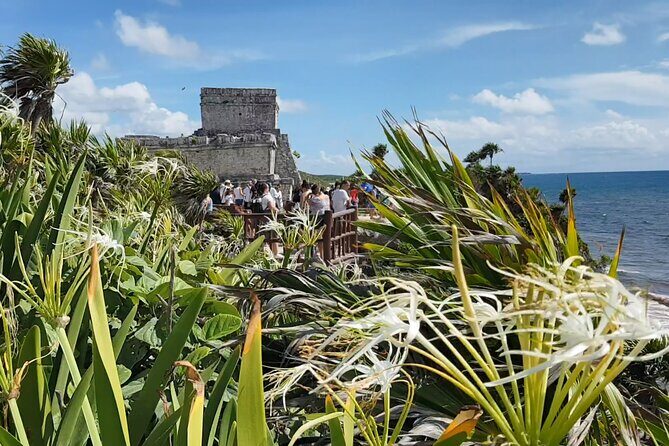 Cancun Jungle Tour: Tulum, Cenote Snorkeling, Ziplining, Lunch - What This Tour Means for You