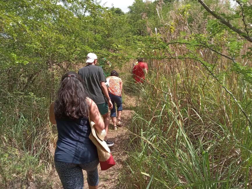 Caribbean Stonehenge - Hike on Green Castle Hill, Antigua. - What You’ll Encounter at the Site