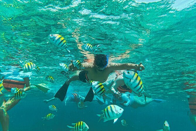 Catamaran to Isla Mujeres, from Playa del Carmen or Riviera Maya - FAQ