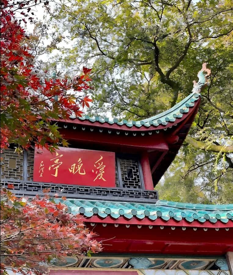 Changsha: Orange Island, Yuelu Mountain & Museum Tour - Final Thoughts
