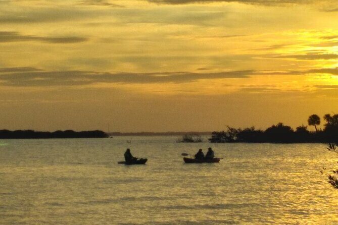 Clear Kayak Sunset Tour - Cocoa Beach - Who Should Book This?