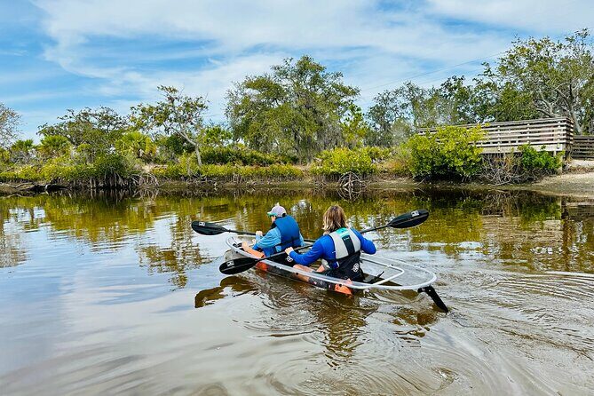 Clear Kayak Tour of Tarpon Springs Sponge Docks & Mangroves - What to Expect: A Step-by-Step Breakdown