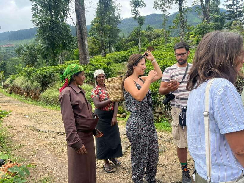 Colombo: Nuwara Eliya: Tea Gardens,Colonial Charm & High Tea - A Detailed Look at the Tour Experience