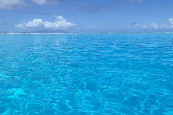 Combo Diving and Snorkeling Half-Day Tour - Final Thoughts: Who Is This Tour Perfect For?