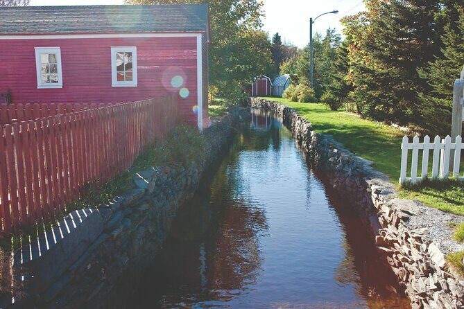 Conception Bay Tour Experience - Authentic Experiences and Testimonials