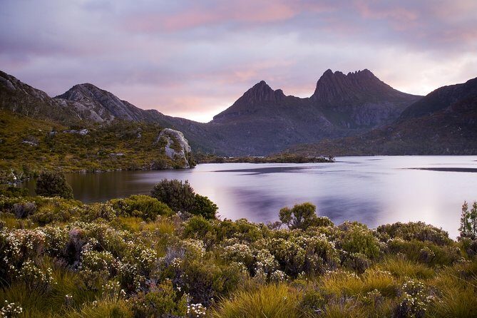 Cradle Mountain Day Tour Charter Service ( 3 days in advance - Why This Tour Offers Good Value