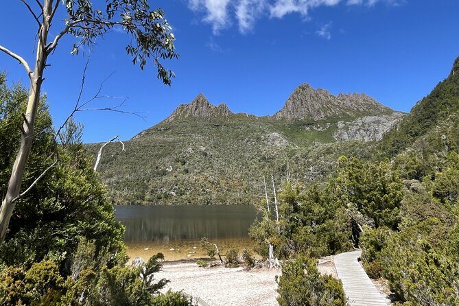 Cradle Mountain Day Tour: Dove Lake Guided Hike with Lunch - Why This Tour Offers Great Value