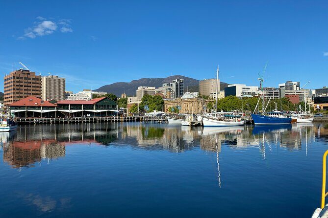 Cruise Ship - Port Arthur Shore Excursion - Hobart - Who Is This Tour Best For?