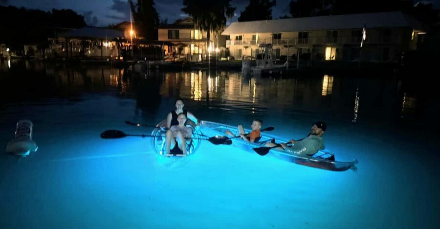 Crystal River Clear Kayak Sunset & Night Glow Tour - Practical Details and Value