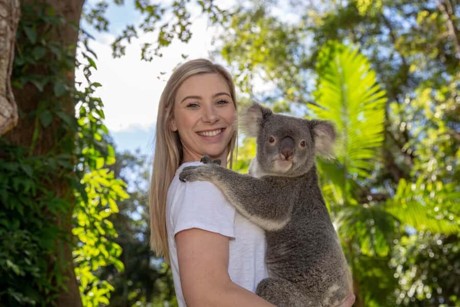 Currumbin Wildlife Sanctuary Entry Ticket - Highlights That Make This Sanctuary Special
