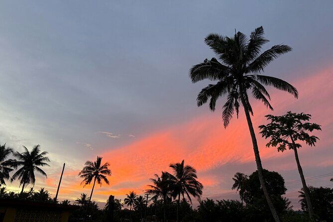 Day Tour Exploration of Fiji Culture and Nature - What Does This Mean for You?