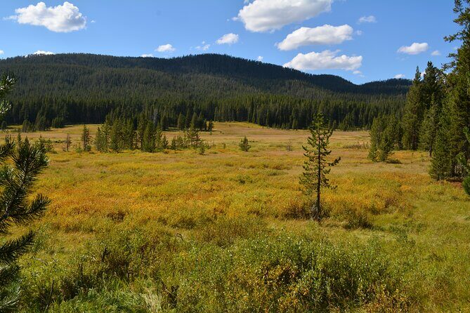 DeLacy Creek Trail Hike to Shoshone Lake with Lunch - The Authentic Yellowstone Experience for Wilderness Seekers