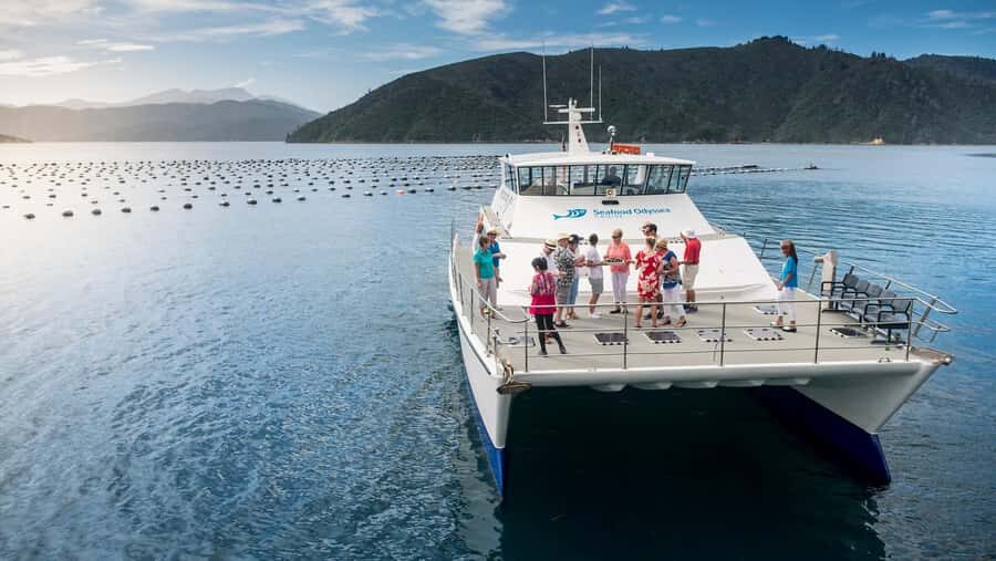 Depart Picton: Marlborough Sounds Afternoon Seafood Cruise - An In-Depth Look at the Marlborough Sounds Seafood Cruise