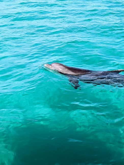 Destin: Public 3 Hour Crab Island and Harbor Tour - Discover the 3-Hour Crab Island and Harbor Tour in Destin
