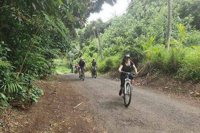 'Discover' Rarotonga Cycling Tour with Lunch - What the Tour Means for Your Rarotonga Visit