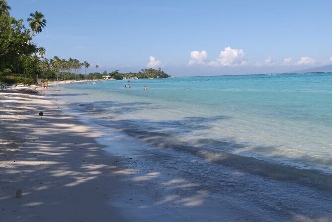 Discovery of Tahiti Nui Island - What Makes This Tour Stand Out