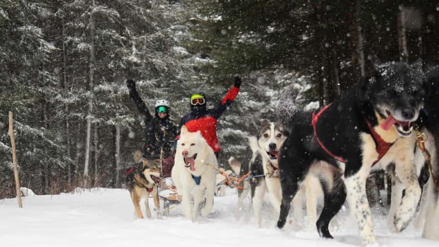Dogsledding Nordic Adventure near Mont-Tremblant - The Practical Side: What You Need to Know