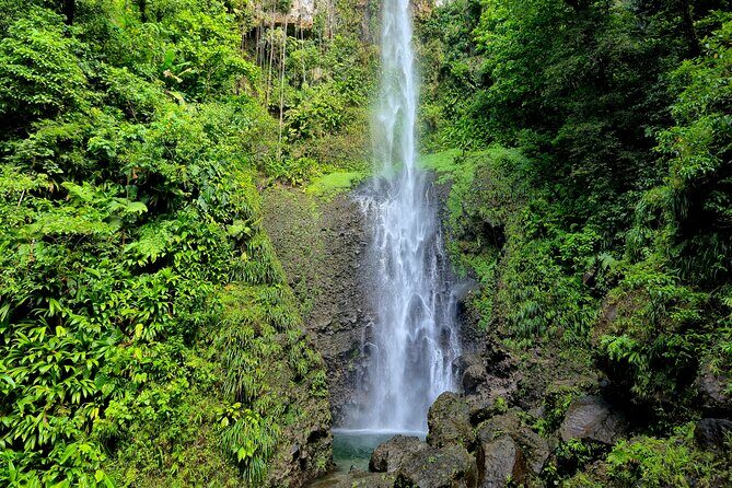 Dominica Adventure Hiking, Swimming, and Hot Springs Tour - Authentic Experiences and Genuine Reviews
