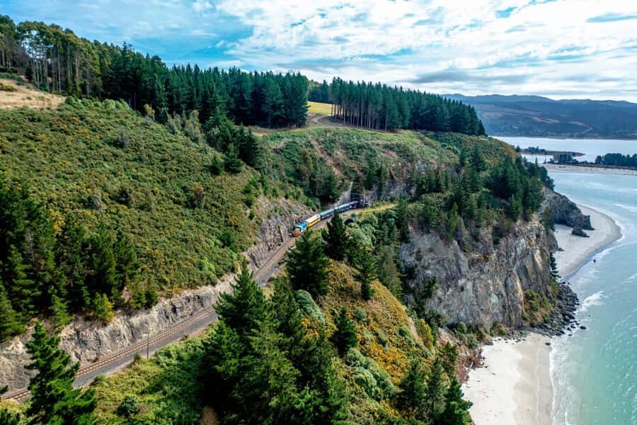 Dunedin Cruise Excursion: Express Coastline Rail Tour - The Experience: What’s It Like on Board?
