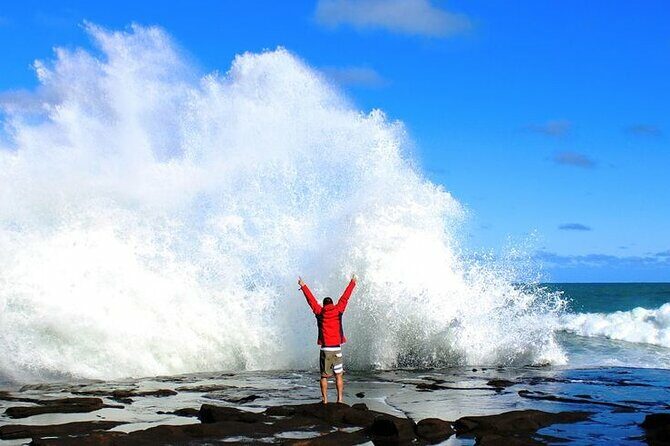 Dunedin to Invercargill via the Catlins 1 Way Small Group Tour - What Makes This Tour Stand Out