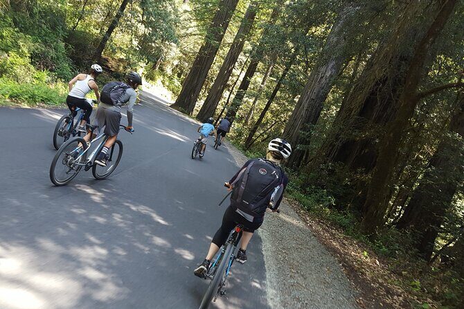 E-Bike Tour in the Avenue of the Giants Redwood Forests - 4 Hours - Final Thoughts