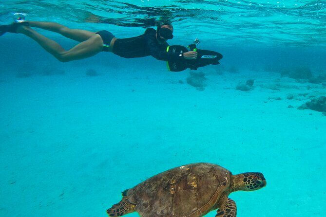 Eco Friendly Sea Scooter Turtle Tour in Rarotonga - A Balanced Itinerary of Marine Encounters