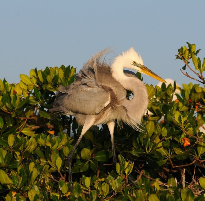 Everglades Private 2.5 Hour Photo and Birding Safari - Value and Cost Considerations