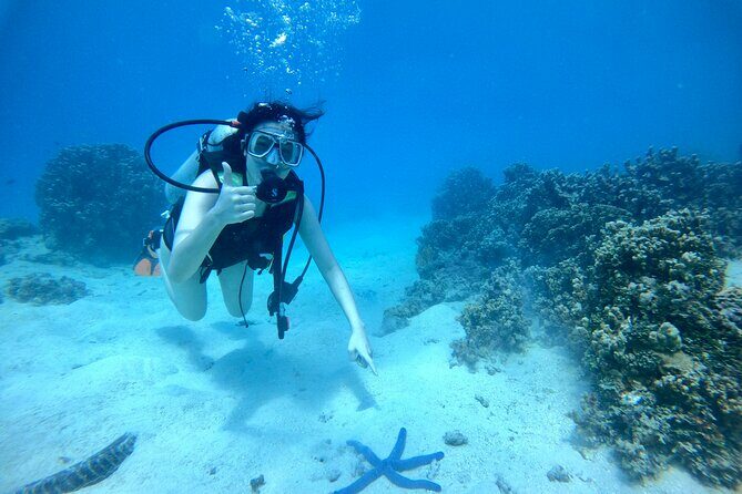 Experience Scuba Diving - No Certification Needed! - Who Should Consider This Tour?