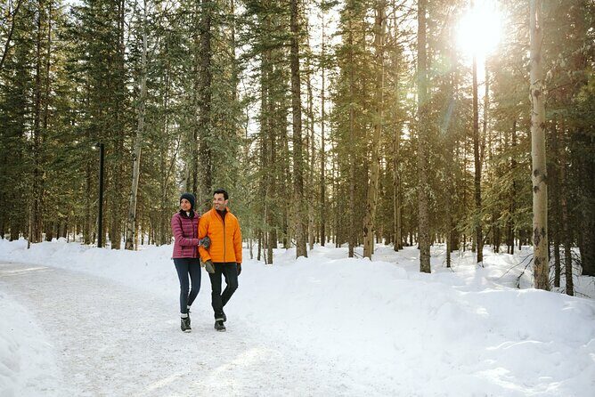 Explore Winter Wildlife Tracks Nature Walk in Canmore - Real Feedback and Expectations