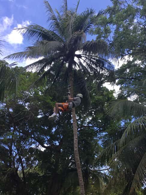 Falmouth: Dunn's River Falls, Blue Hole, and Zipline Tour - What to Expect: Practical Details