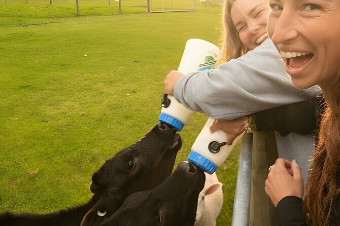 Farm Tour and Milford Sound Nature Cruise from Te Anau - Authentic Experiences and Authenticity