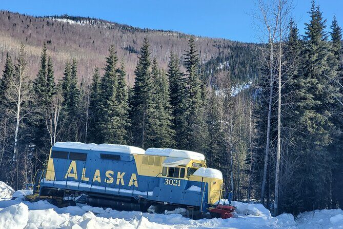 Fire & Ice: Chena Hot Springs, Ice Museum + Aurora Adventure - Dining and Atmosphere