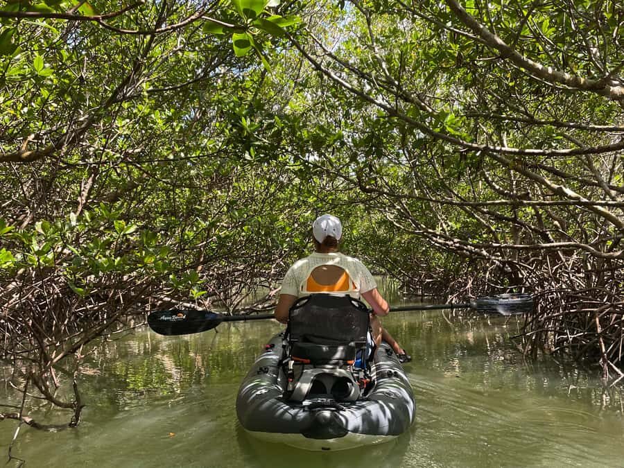 Fort Pierce: 2-Hour Prehistoric Preserve Kayak Tour - The Practicalities