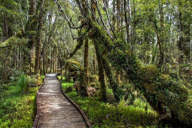 Franz Josef to Wanaka Small-Group Tour (One-Way) Includes Lunch - Bruce Bay: Wild West Coast Beauty