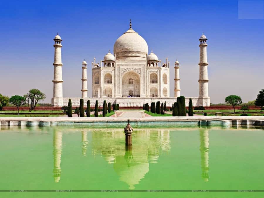 From Agra: Taj Mahal Sunrise & Elephant SoS Center Day Trip - Authentic Experiences and What Travelers Say