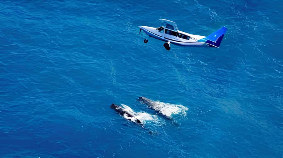 From Christchurch: Private Kaikoura Tour with Guide - The Value of a Private Guide