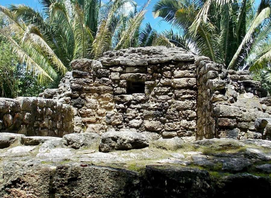 From Costa maya : mayan ruins and stop at the fruit market . - Detailed Breakdown of the Tour Itinerary