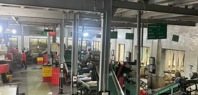 From Ella: Nuwara Eliya Tea Factory and Plantation Tour - Pricing & Value Analysis