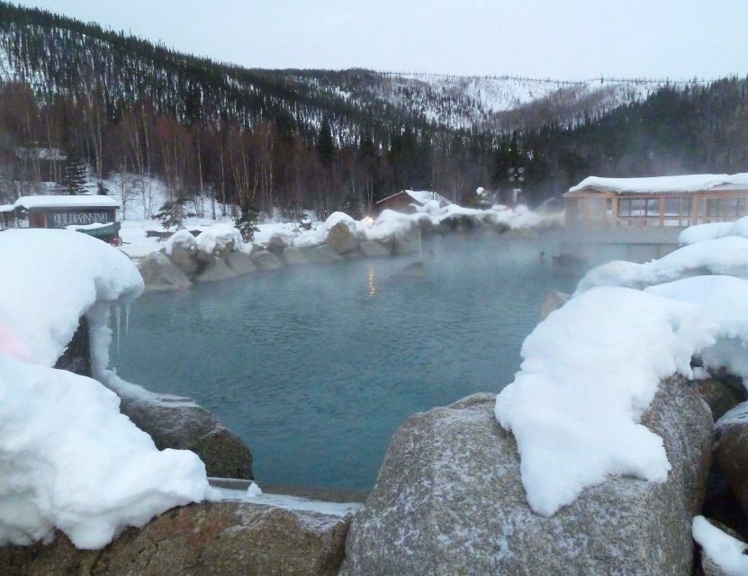 From Fairbanks: Chena Hot Springs Northern Lights Tour - Authentic Experiences from Past Participants