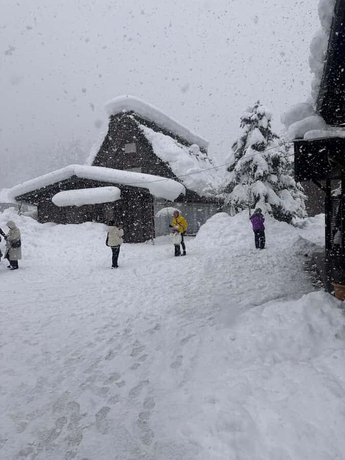 From Kyoto/Osaka: Shirakawa go and Takayama Private Tour - Highlights of the Tour